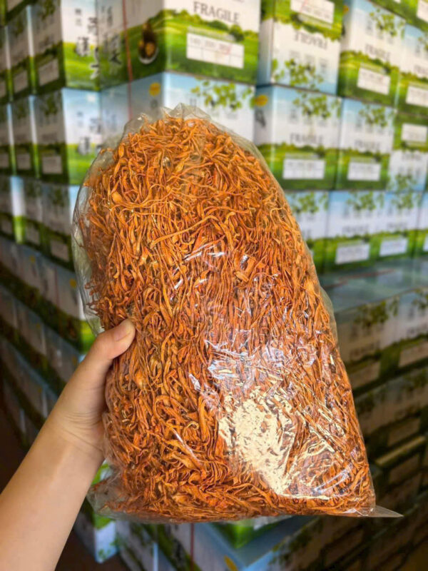 Nấm Đông Trung Dọc Sấy Khô - Hình ảnh 2